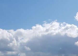 Gezond Natuur Wandelen vanaf Klein Profijt op zondag 6 februari