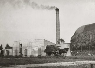 Zaterdag 5 maart: Fotoexpositie ’s-Gravendeel en de vlashistorie