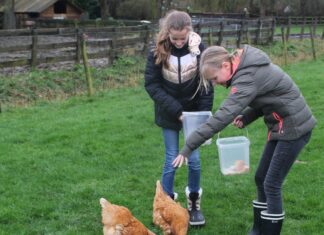 Vakantieworkshops op Landgoed de Peerdegaerdt