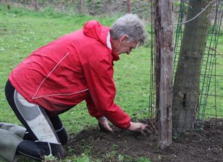 NLdoet help De Peerdegaerdt zomerklaar te maken!