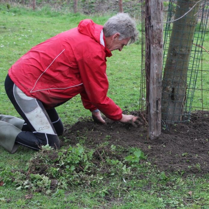 310702AB-B251-4E6F-80D7-DFE0CB427ED2