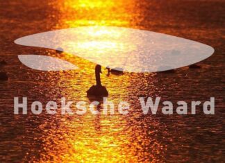 Wat zijn jouw plannen dit weekend? Ga eropuit in de Hoeksche Waard