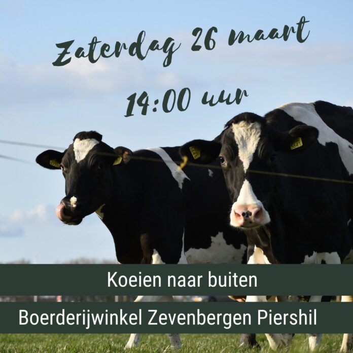 277007172_479555837234304_6759795515827929699_n