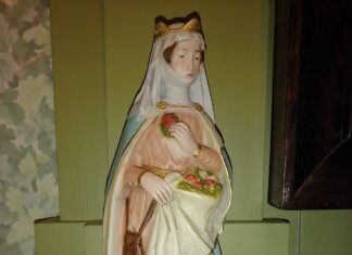 Lezing Reuzenkaart Hoeksche Waard en omstreeken (1537)