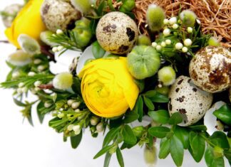 Paasworkshop, Plantjesmarkt en Moederdag workshops bij Plukhoek Mookhoek