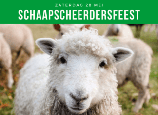 Zaterdag 28 mei Schaapscheerdersfeest op de kinderboerderij van het Recreatieoord Binnenmaas