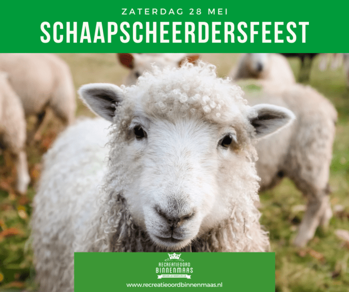 279529767_5005513139526015_7372439806862942469_n