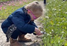 Op vrijdag 6 mei opent Plukhoek Mookhoek weer.