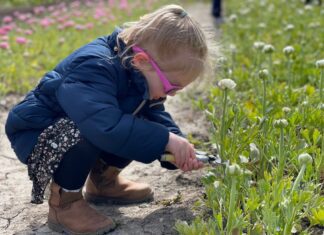 Op vrijdag 6 mei opent Plukhoek Mookhoek weer.
