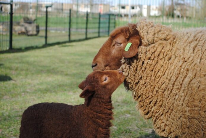 CD99E760-9CF0-47C5-8E41-25F0951E9C9A