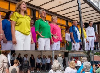 Hoeksche Waards Korenfestival een blijvertje