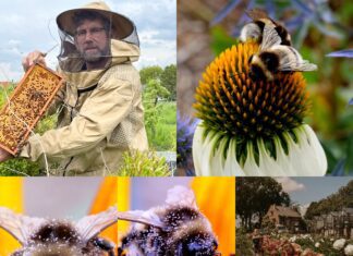 Zaterdag 9 juli: Landelijke Open Imkerijdag bij Plukhoek Mookhoek