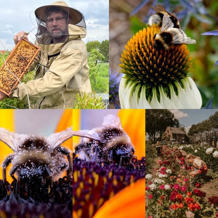 F5D9C1B7-4065-49FC-B73A-CD7B1365A91E