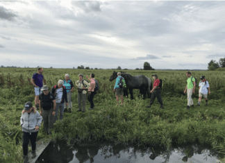 31e Oeverloop Hoeksche Waard op 19, 20 en 21 augustus