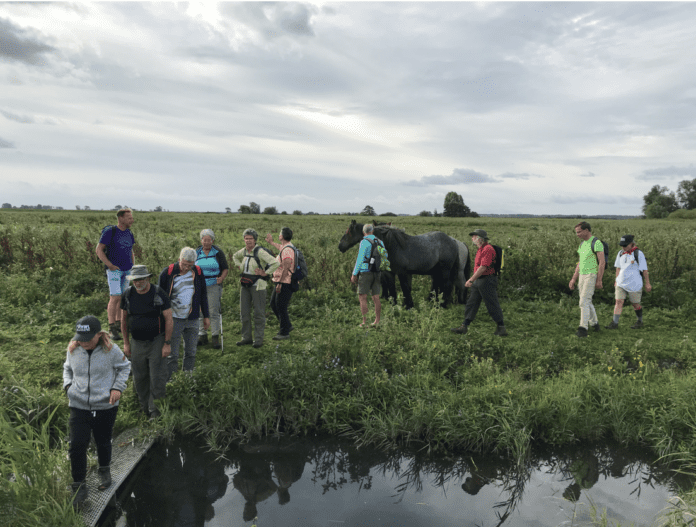 Schermafbeelding 2022-06-07 om 16.09.03
