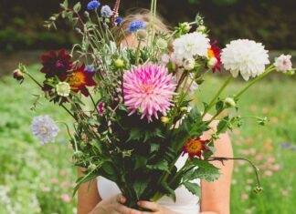 Volop activiteiten bij Plukhoek Mookhoek in juni, juli en augustus