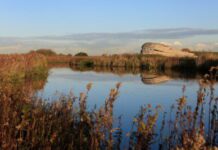 Wandelroute Korendijkse Slikken weer open vanaf 16 juli