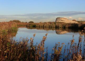 Wandelroute Korendijkse Slikken weer open vanaf 16 juli