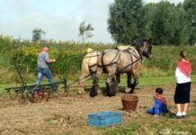Zaterdag 3 september: Oogstdag op Tiengemeten.