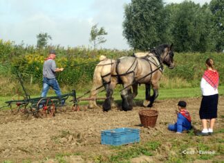 Zaterdag 3 september: Oogstdag op Tiengemeten.