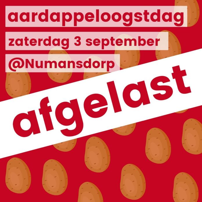 302516887_7896998043704947_615356196239822170_n