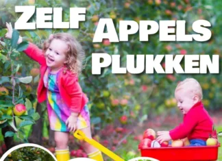 Pluk je eigen appels bij Boerderij de Kikkershoek