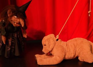 Poppentheater Ludiek speelt: Boris is zoek! …….Hellup…..een mol!