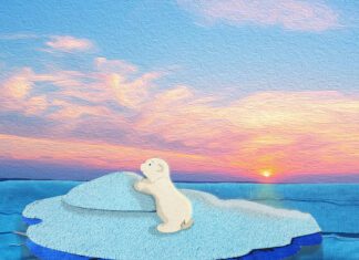 Nieuw aanbod jeugdtheatervoorstellingen bij Rho Toneel in Numansdorp