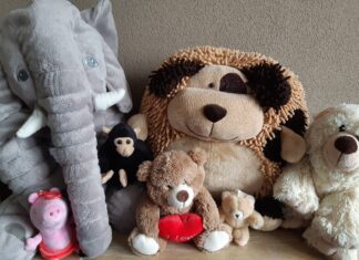 Beestenboel in Museum Hoeksche Waard!