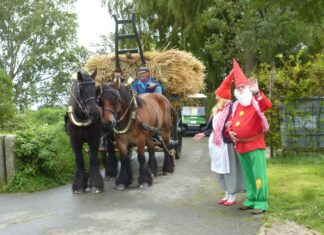 Zaterdag 2 september: Oogstdag op Tiengemeten