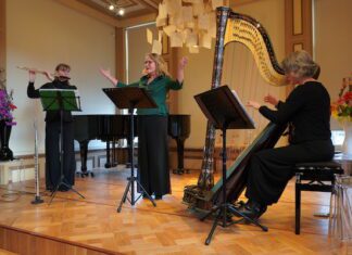 Het Ronsard Trio in Mijnsheerenland