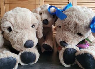 Poppentheater Ludiek speelt: Hadriana wil ook een hond