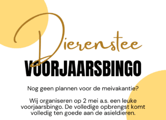 Voorjaarsbingo De Dierenstee
